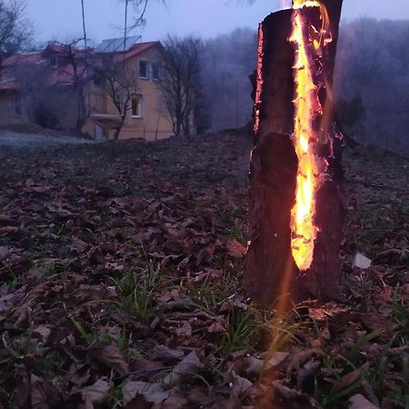 Apartament W Domu Na Wsi Tomaszów Lubelski Kültér fotó