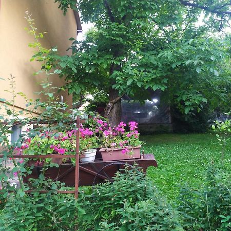 Apartament W Domu Na Wsi Tomaszów Lubelski Kültér fotó