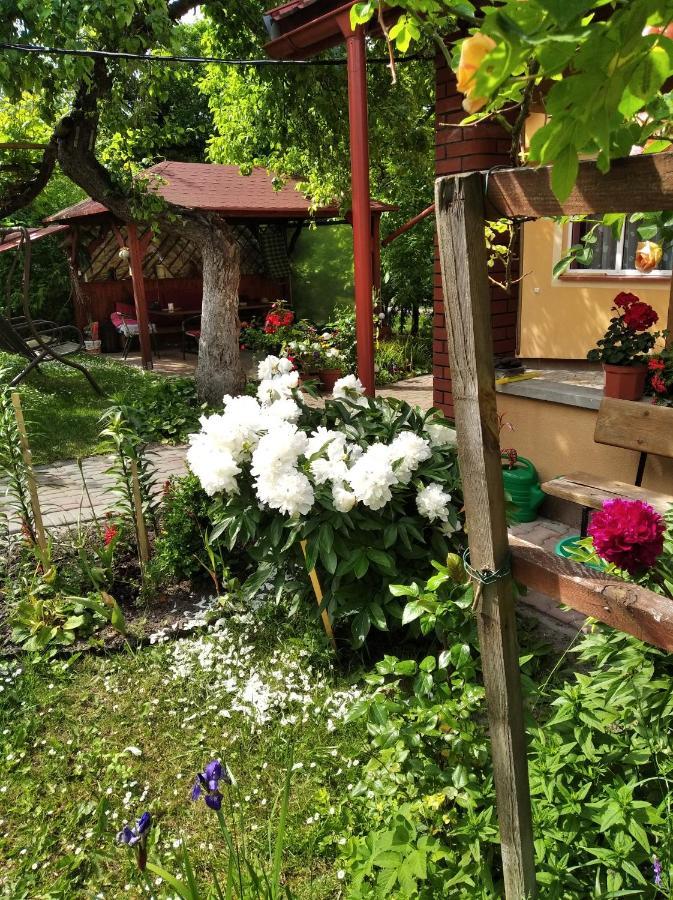 Apartament W Domu Na Wsi Tomaszów Lubelski Kültér fotó