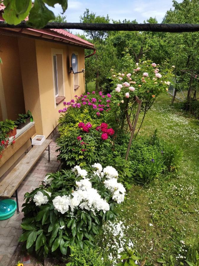 Apartament W Domu Na Wsi Tomaszów Lubelski Kültér fotó