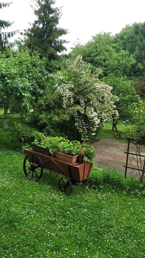 Apartament W Domu Na Wsi Tomaszów Lubelski Kültér fotó
