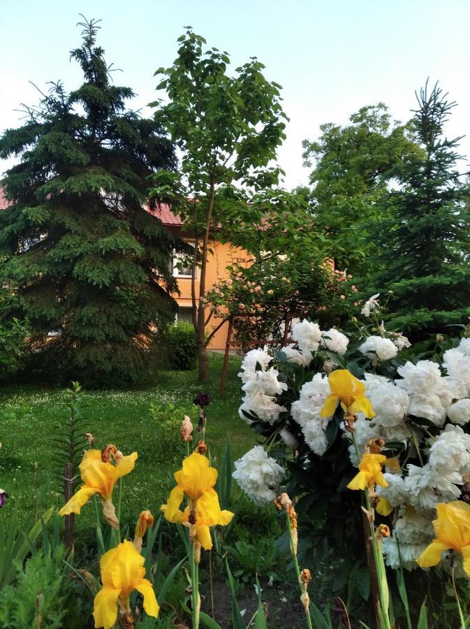 Apartament W Domu Na Wsi Tomaszów Lubelski Kültér fotó