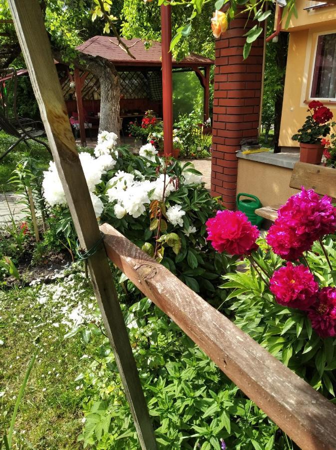 Apartament W Domu Na Wsi Tomaszów Lubelski Kültér fotó