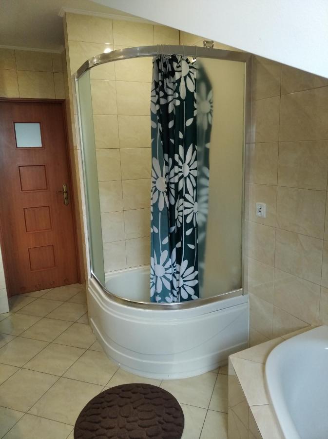 Apartament W Domu Na Wsi Tomaszów Lubelski Kültér fotó