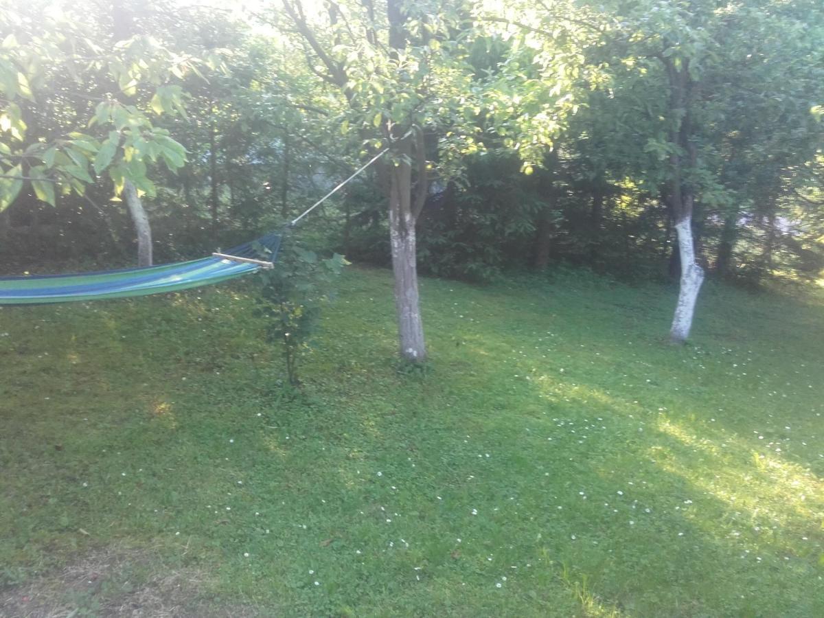 Apartament W Domu Na Wsi Tomaszów Lubelski Kültér fotó
